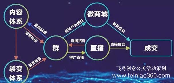 北京直播公司直播技巧 ‖ 品牌直播如何啟動，如何搭建直播運營體系